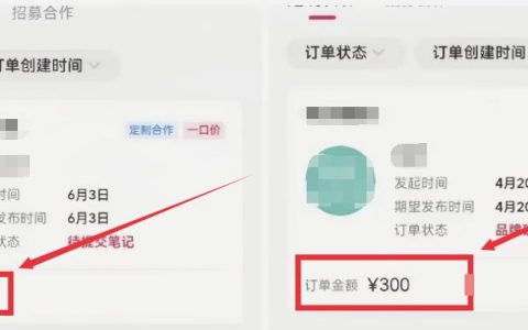 小红书商单搬砖玩法，一单收益200-300（可批量放大）